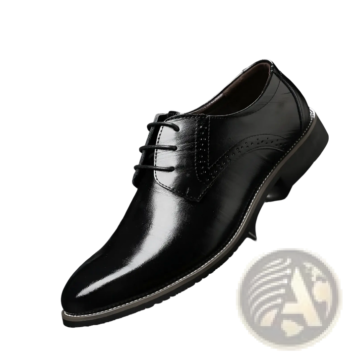 Men's Formal Lace Up Plus Size Leather Business Shoes